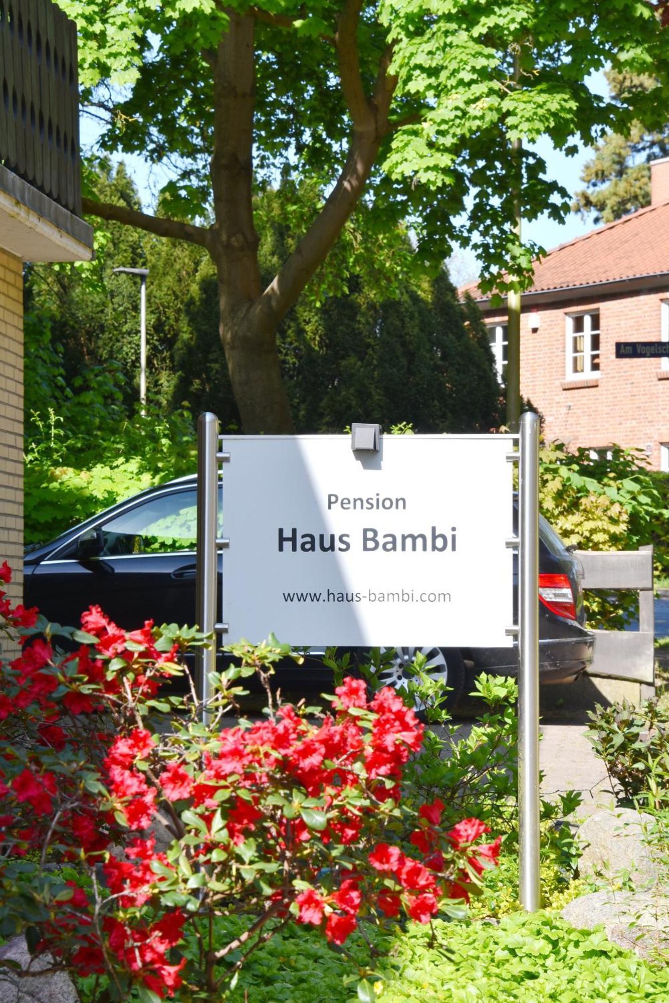 Pension Haus Bambi Mölln المظهر الخارجي الصورة